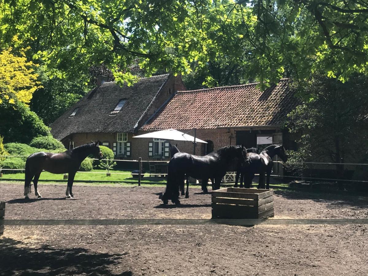 De Swaenhoeve Zoersel Buitenkant foto