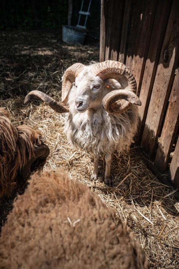 De Swaenhoeve Zoersel Buitenkant foto