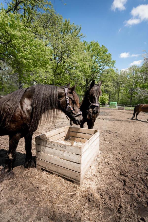 De Swaenhoeve Zoersel Buitenkant foto