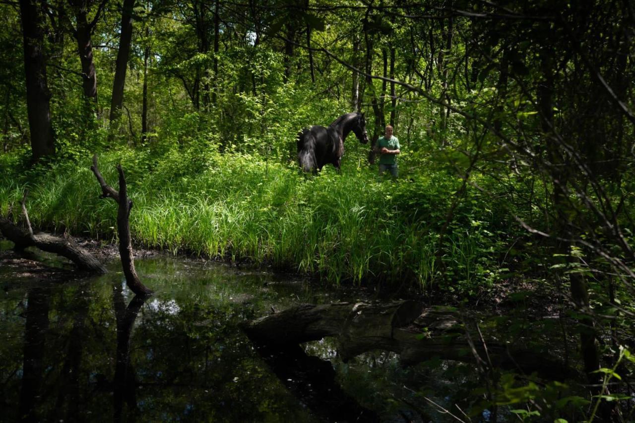 De Swaenhoeve Zoersel Buitenkant foto