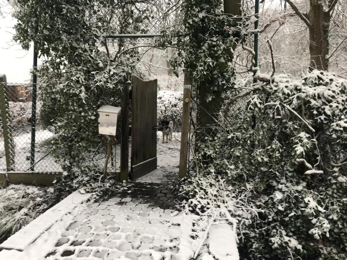 De Swaenhoeve Zoersel Buitenkant foto