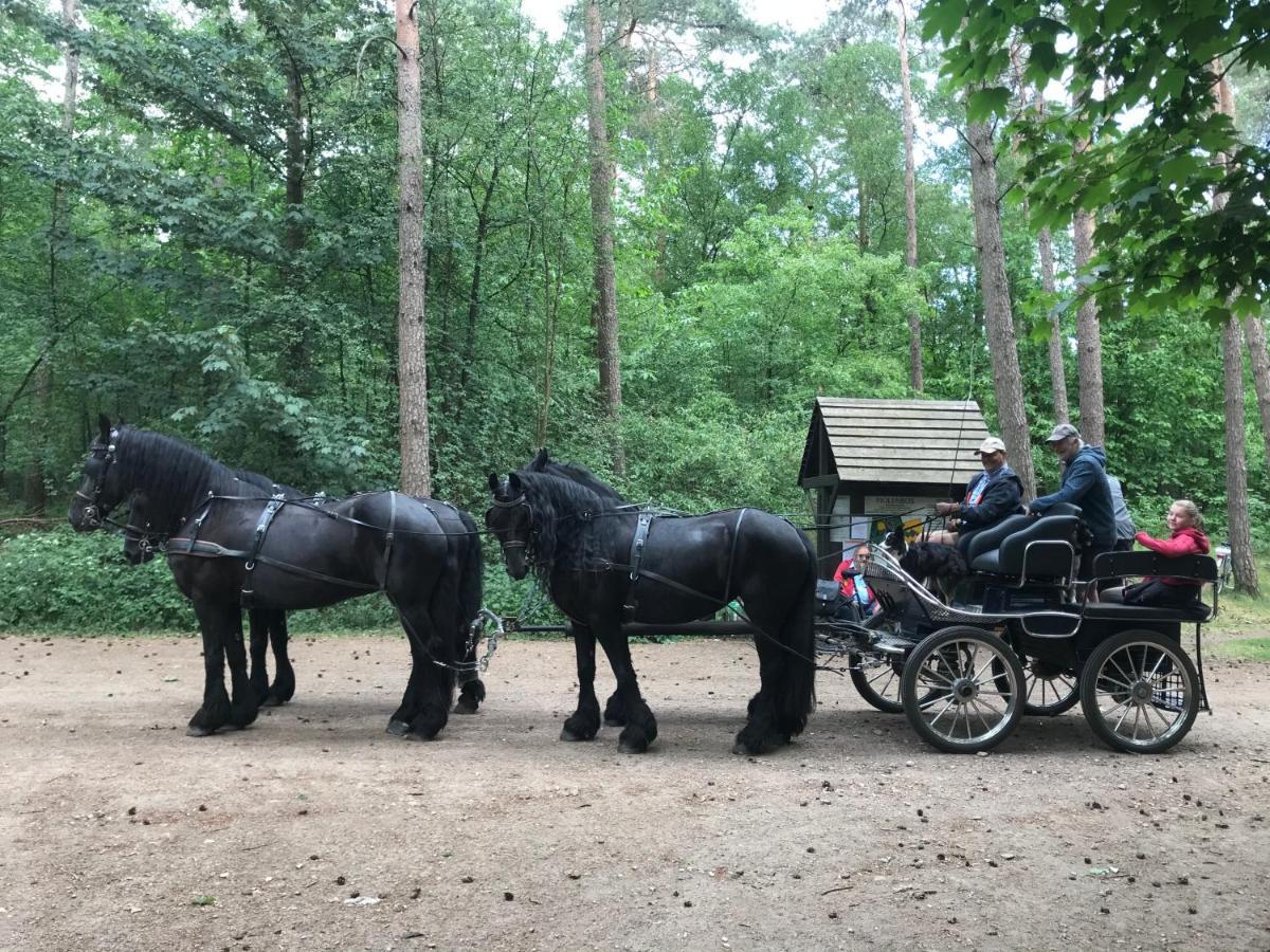 De Swaenhoeve Zoersel Buitenkant foto