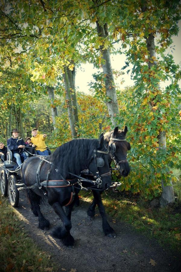 De Swaenhoeve Zoersel Buitenkant foto