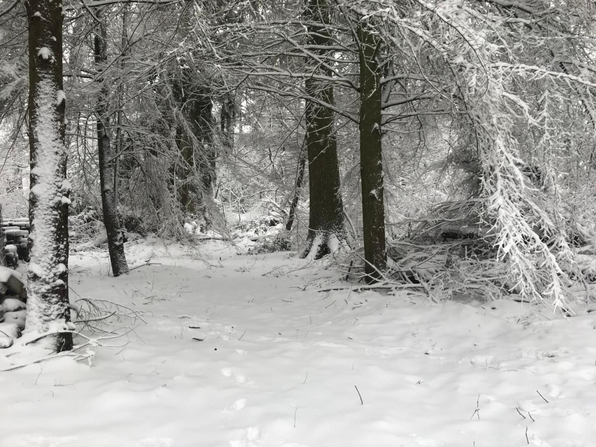 De Swaenhoeve Zoersel Buitenkant foto