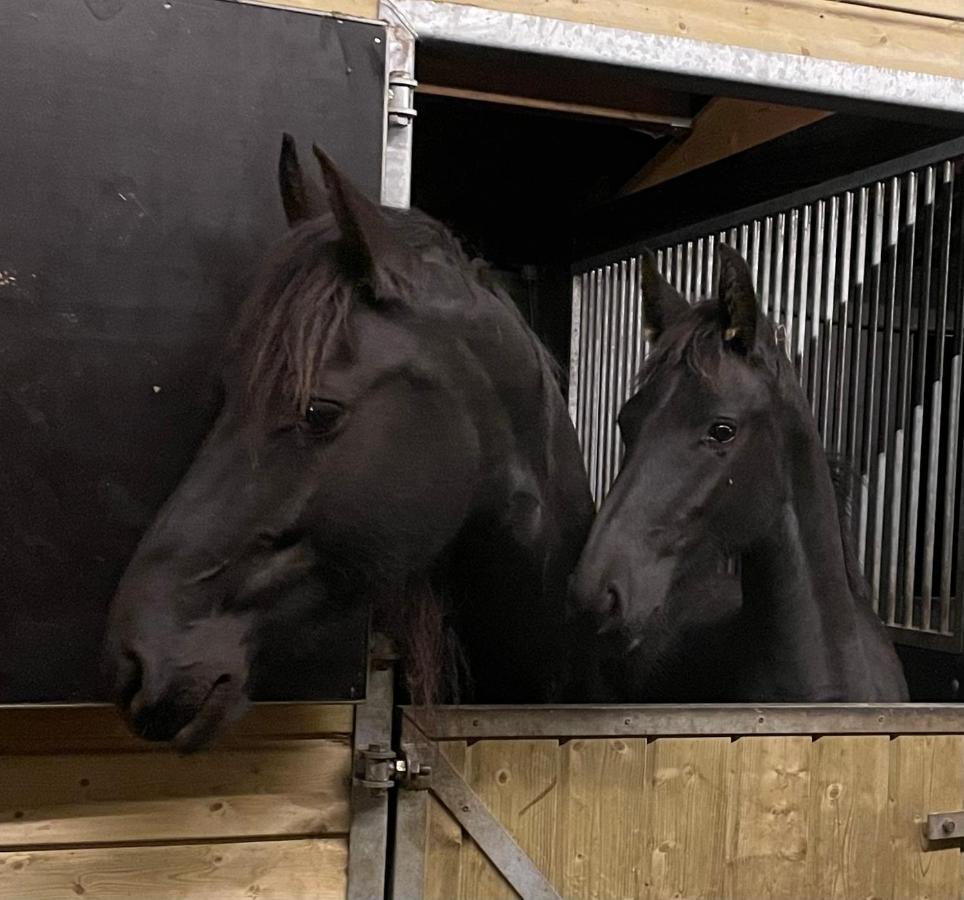 De Swaenhoeve Zoersel Buitenkant foto