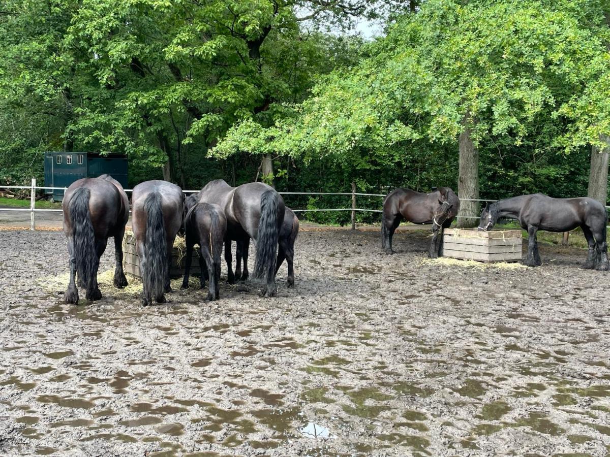 De Swaenhoeve Zoersel Buitenkant foto
